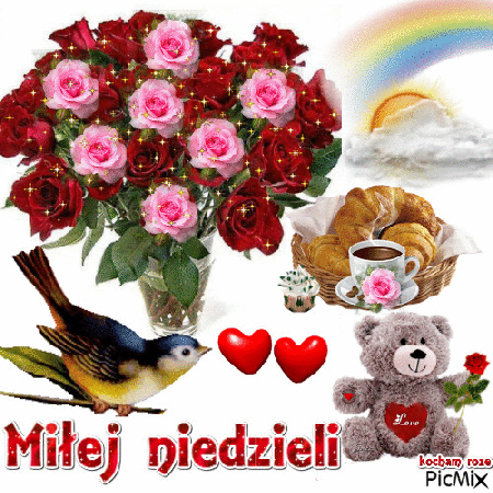 Miłej niedzieli życzy ptaszek